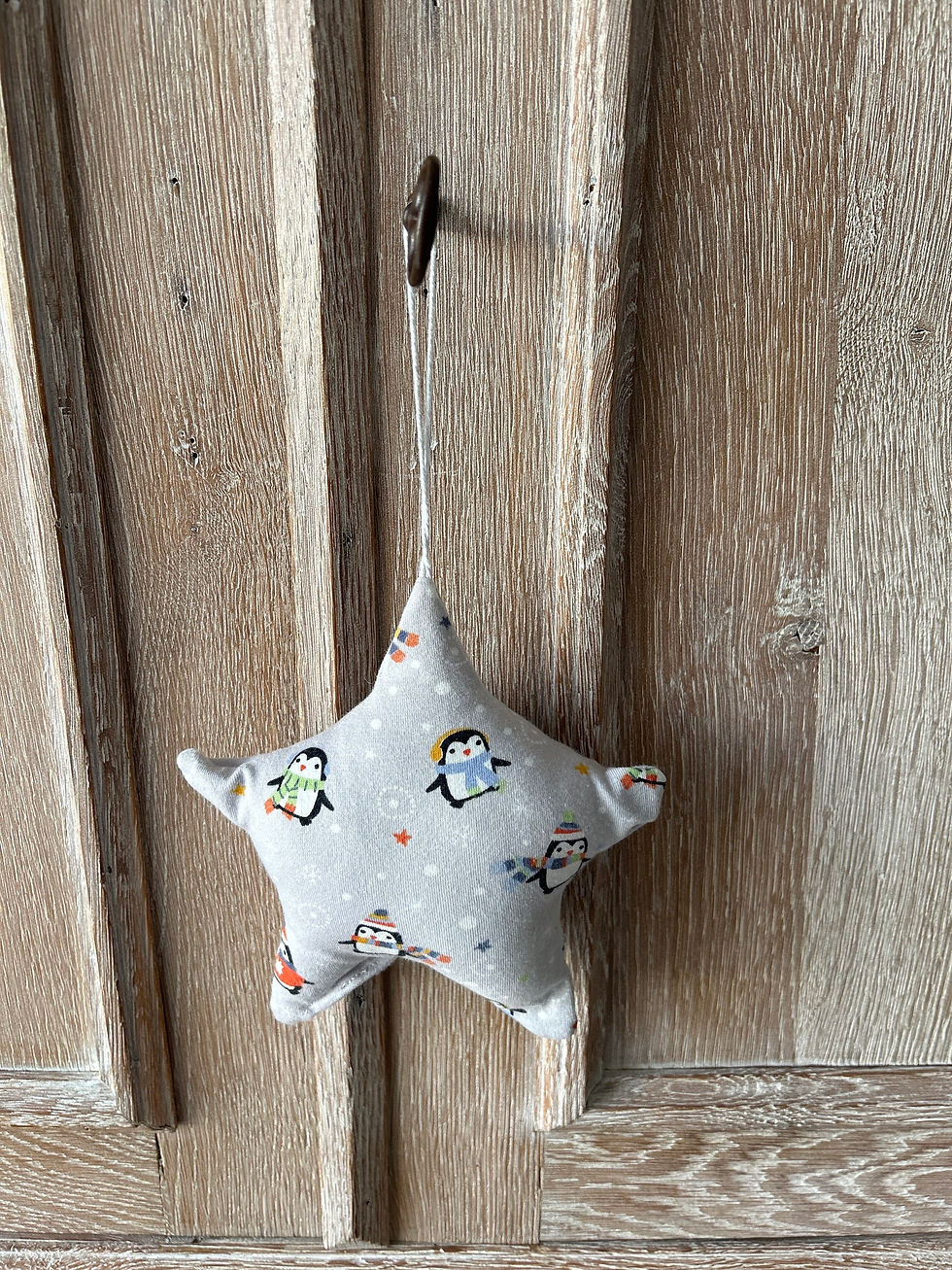 Miniature : Étoile décorative en tissu – Création artisanale