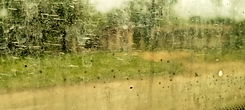 40X18_DESENFOQUE.tif