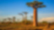 AdobeStock_169586438.jpeg