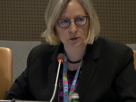 FAO applauds the EWABELT Project at the 23rd Infopoverty World Conference at the United Nations