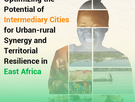 EWABELT showcased at the UN-Habitat Expert Group Meeting on Intermediary cities in Jinja, Uganda