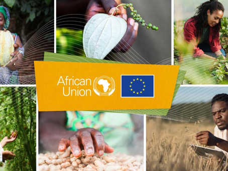Successful African-EU Collaboration at 5th AU-EU Agriculture Ministerial Conference