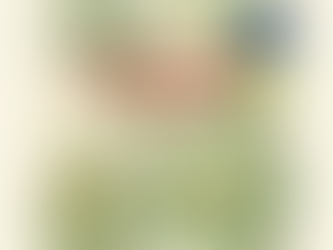 First GA Side Event - Workshop on NUS