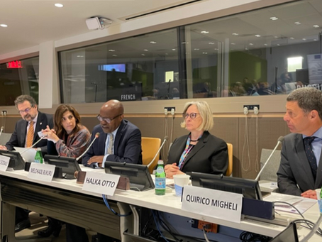 EWABELT at the 23rd Infopoverty World Conference at the United Nations