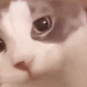 Ganchos Virais-min.gif