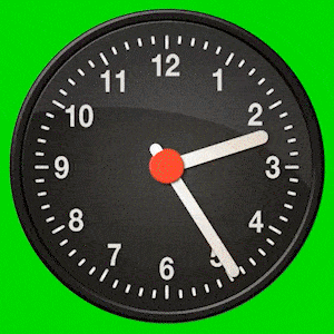 Green Screen-min.gif