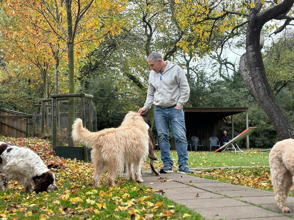 Personal tillsammans med hund utomhus på Hunddagis Klippan.