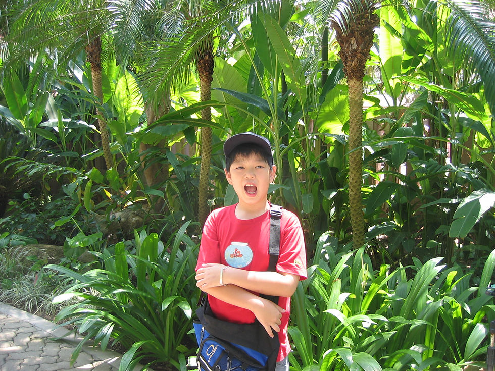 Phuket Holidays Feb 2005 044
