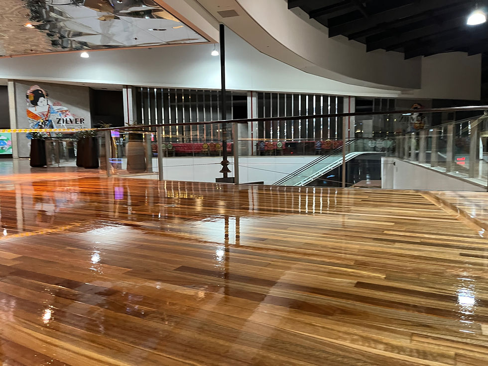 Sanding and Polishing Bondi