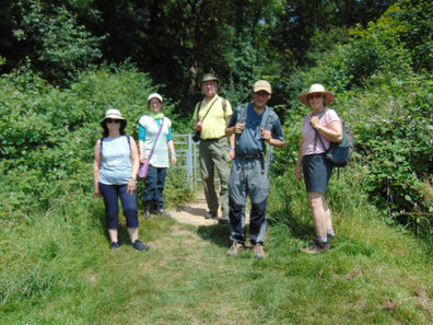 Five Hilly Parks in Havering