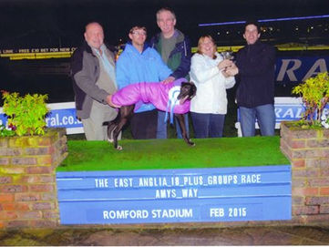 Exciting Day At The Dog Track