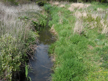 Seven Kings Park and Hainault Forest