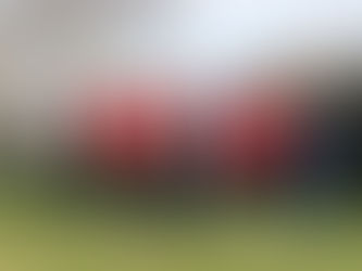 L'équipe NF1 hôte de Ceacom