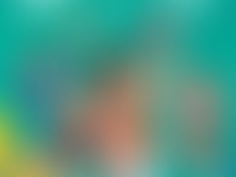 Le mini basket en fête dimanche !