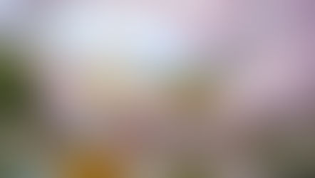 A national qualified expert advises you
how to buy a house.