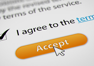 terms and conditions.jpg
