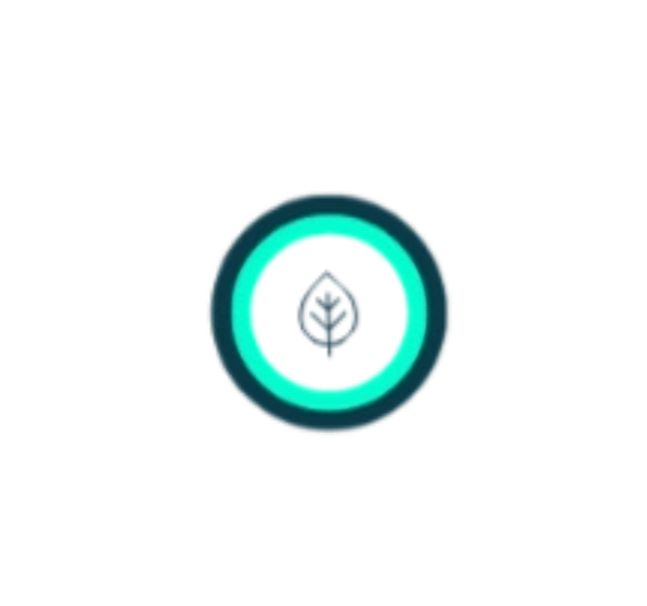 53_edited_edited.png
