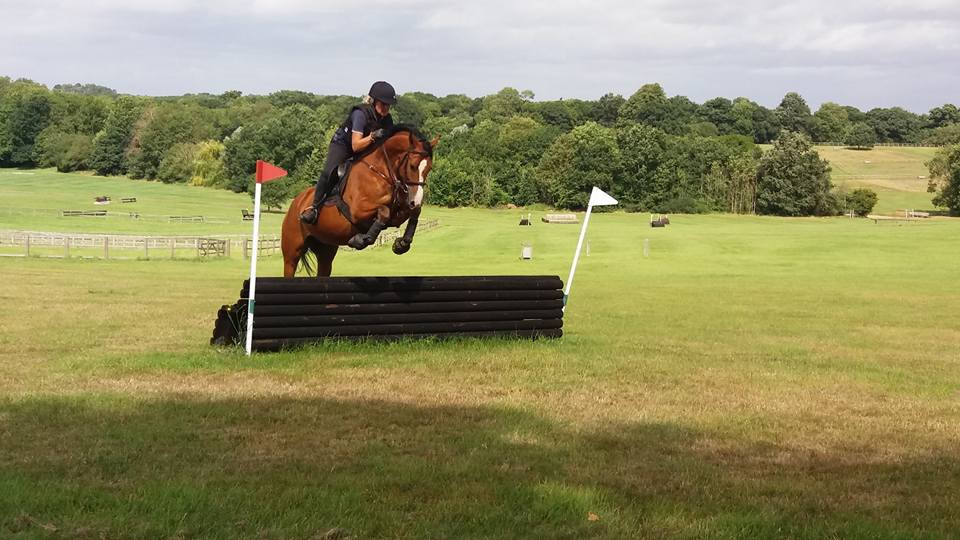 Cross country & Show jumping training shillingtonriding