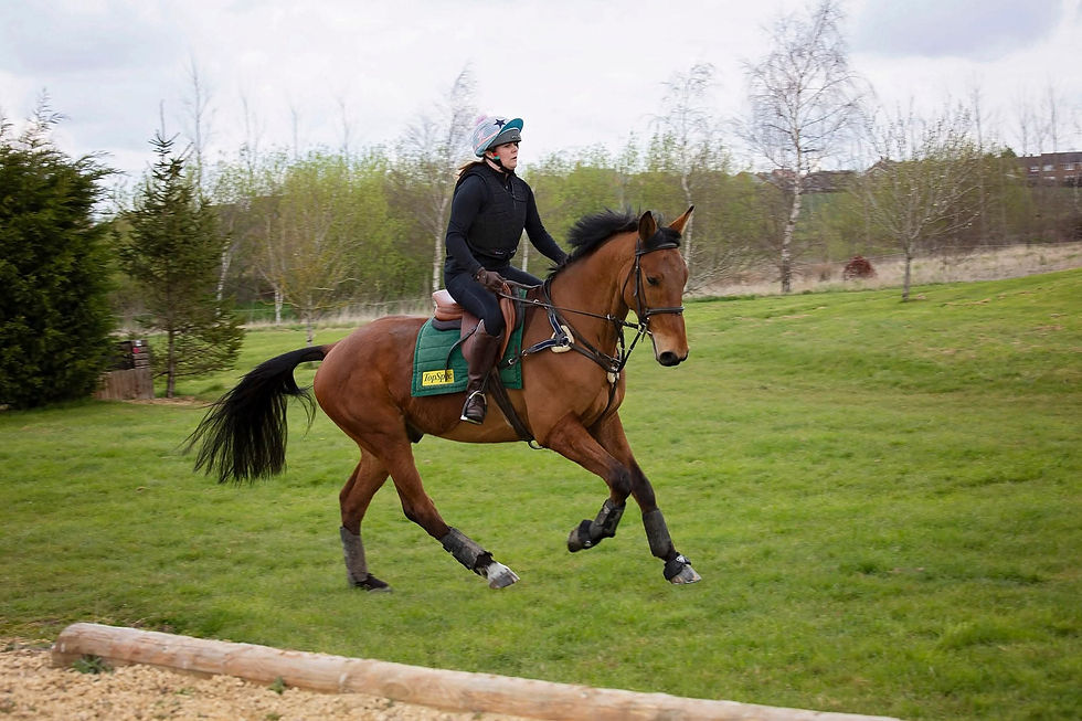 Doug Jones Cross Country  and Show jump Clinic