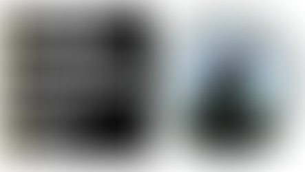 Maryland Matters speaks to Region 3 Mid-Atlantic TCTAC about tree equity