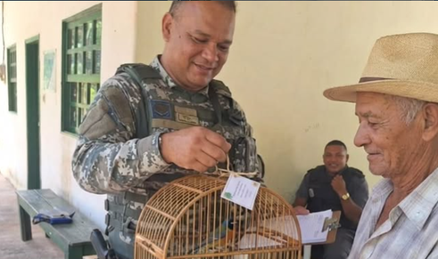 Guarda Municipal recolhe 50 animais silvestres em apenas quatro dias de campanha ambiental