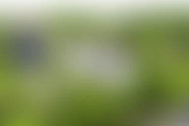 Estudantes participam de ação pelo Dia Mundial do Meio Ambiente no Parque das Dunas