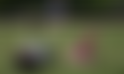 Parlamentares buscam consenso para licença paternidade de 60 dias