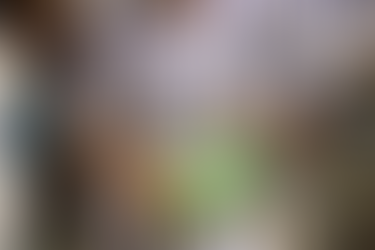 “O Samba Nasceu Aqui”: Prefeitura divulga tema oficial do Carnaval 2026