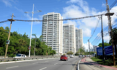 Prefeitura de Salvador implanta três passagens de fauna na Avenida Pinto de Aguiar