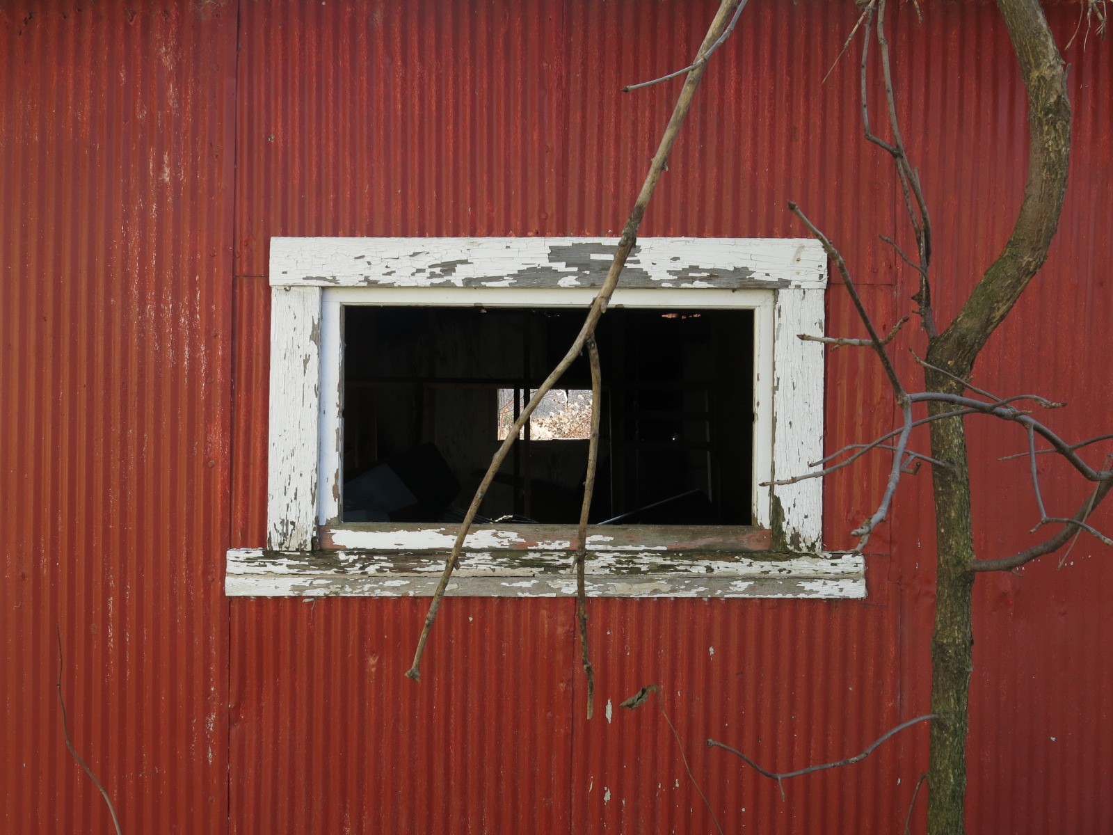 Through the Coop