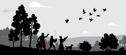 Star Wars Silhouettes