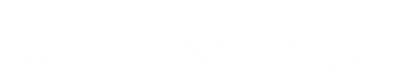 arasbesco3.png