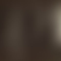 Women Who Documented the World