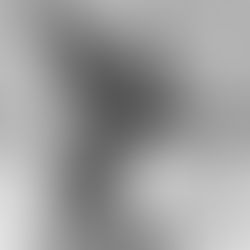 Before It Became a Photograph