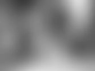 Before it became a photograph