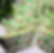 Screen Shot 2022-04-14 at 8.56.22 PM.png