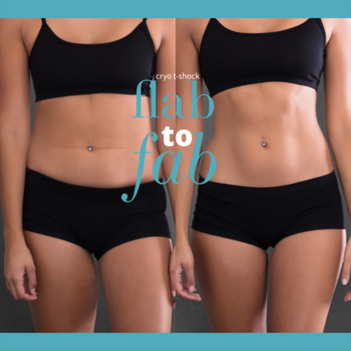 womens abs image