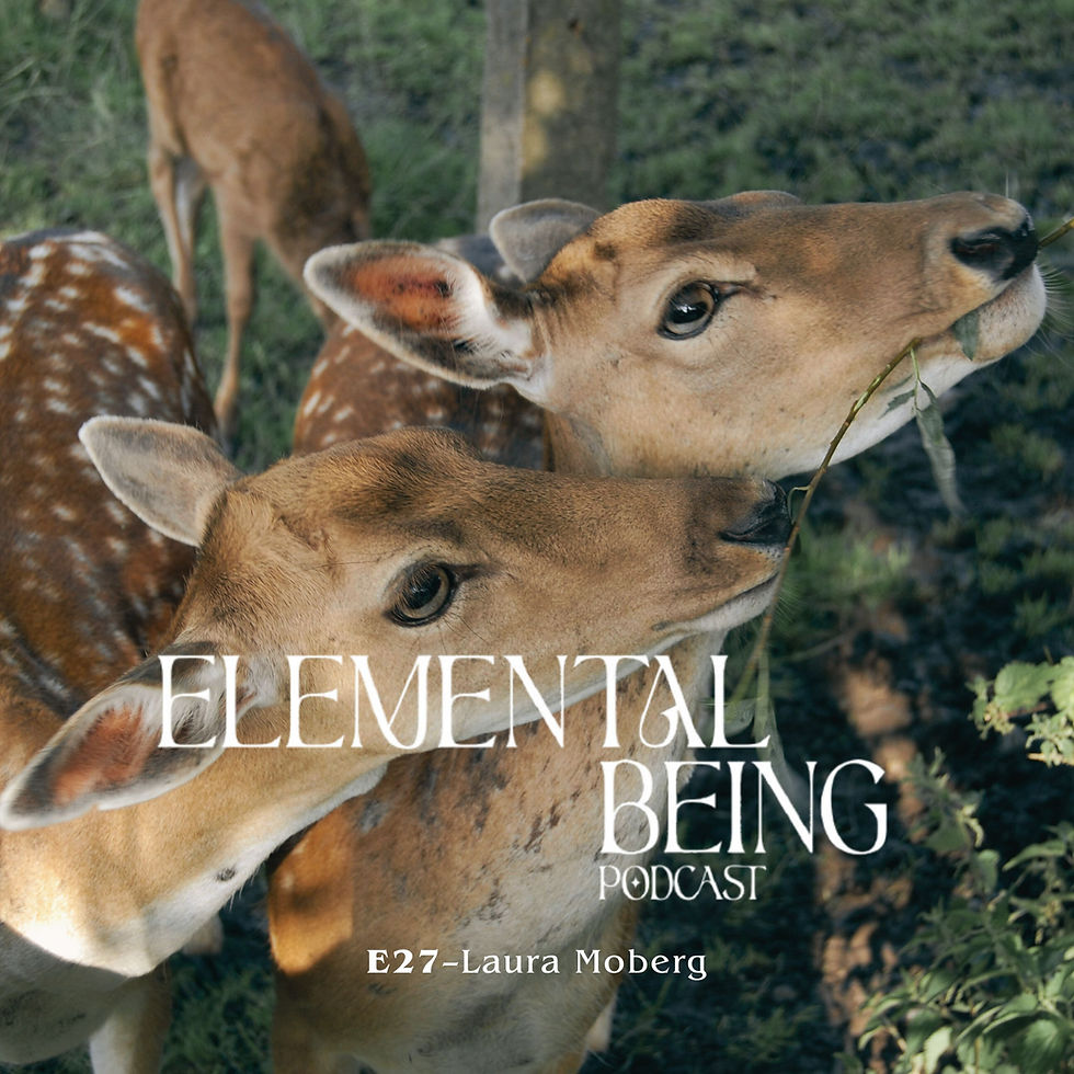 ELEMENTAL BEING PODCAST.jpg