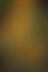 Into the Woods by Hannah McBride