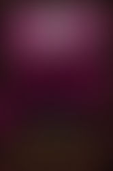 Dream of You by Jennifer L Armentrout