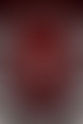 The Return by Tiffany Reisz 