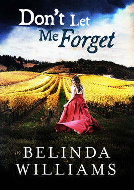Don't Let Me Forget by Belinda Williams