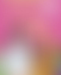 Under One Roof by Ali Hazelwood