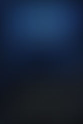 The Queen by Jennifer L Armentrout