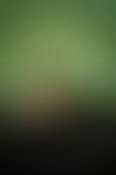 Entwined With You by Sylvia Day Book Review