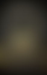 Zodiac Academy : Restless Stars by Caroline Peckham & Susanne Valenti