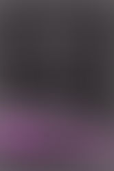 The Queen by Tiffany Reisz