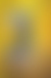 Kingdom of Ash by Sarah J.  Maas Book Review