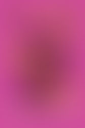 A Court of Wings and Ruin by Sarah J. Maas Book Review