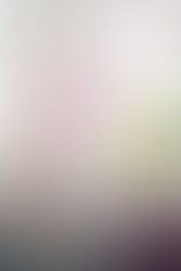 Operation Bailey Wedding by Piper Rayne